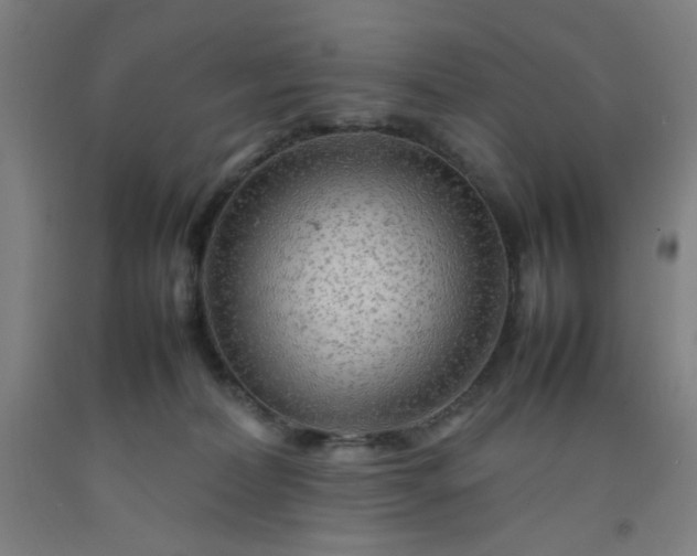 X0000092210228200709281029