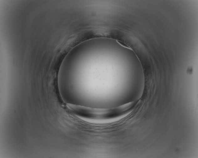 X0000092210229200709281029