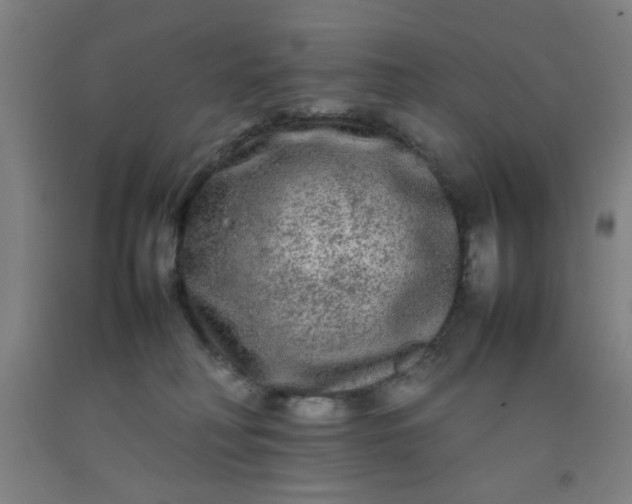 X0000092210230200709281029