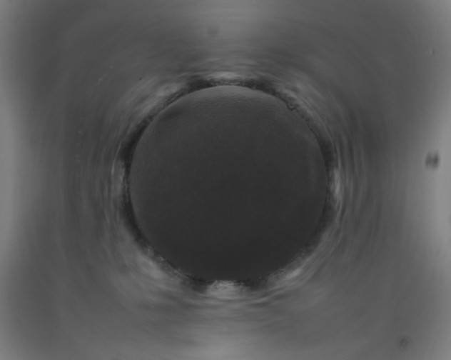 X0000092210231200709281029