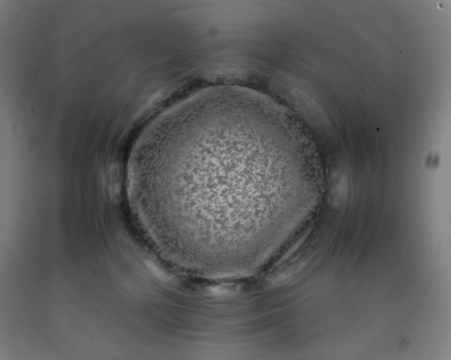 X0000092210232200709281029