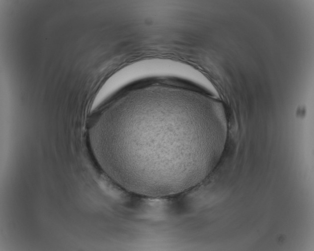 X0000092210233200709281029