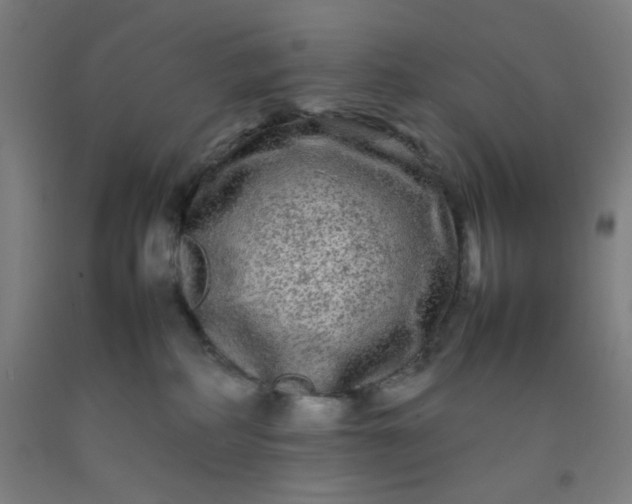 X0000092210234200709281029