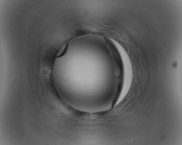 X0000092210235200709281029