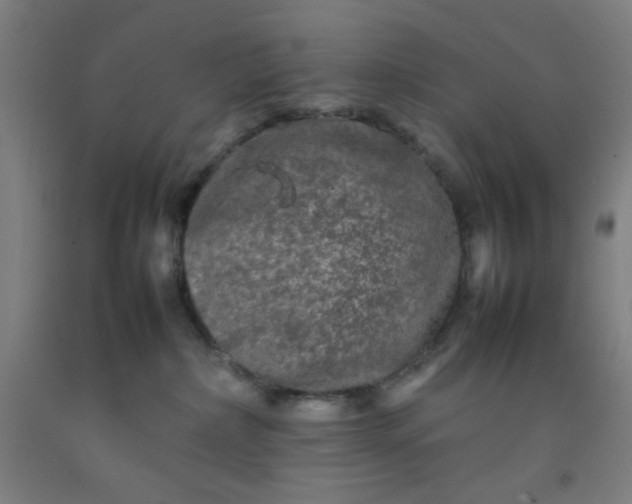 X0000092210236200709281029