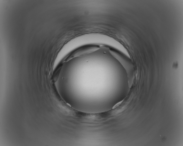 X0000092210237200709281029