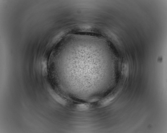 X0000092210238200709281029