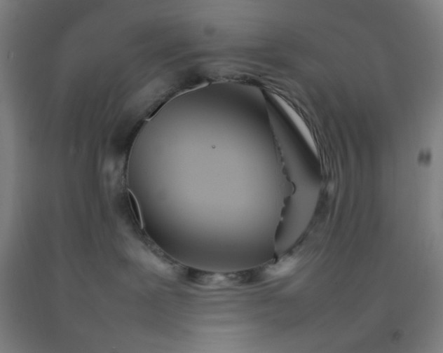 X0000092210239200709281029