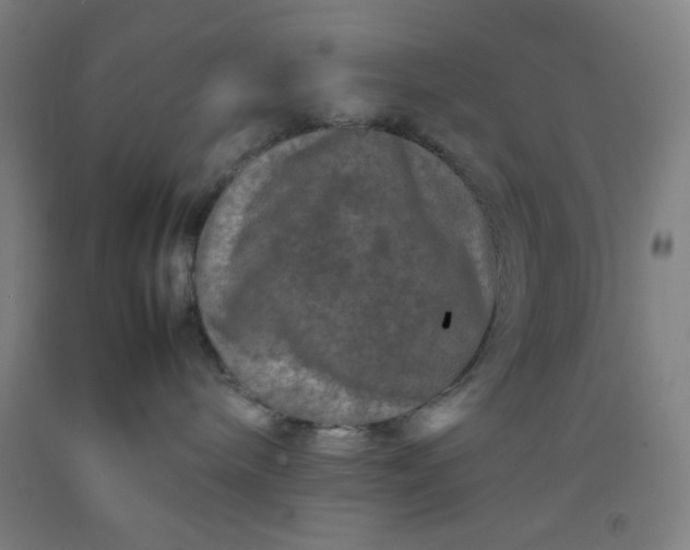 X0000092210240200709281029