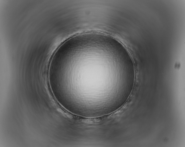 X0000092210241200709281029