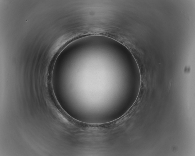 X0000092210242200709281029