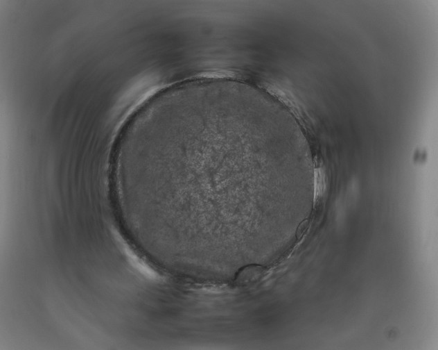 X0000092210243200709281029