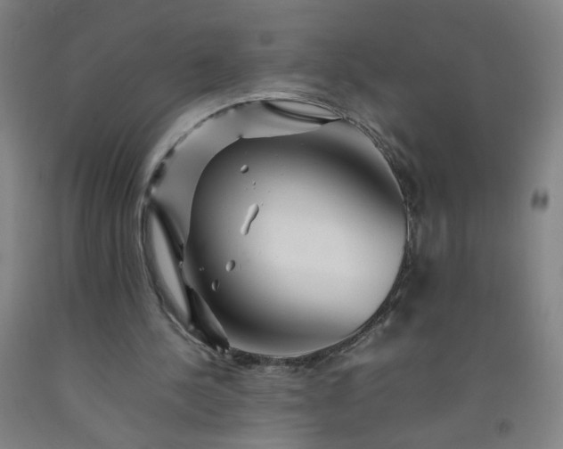 X0000092210244200709281029