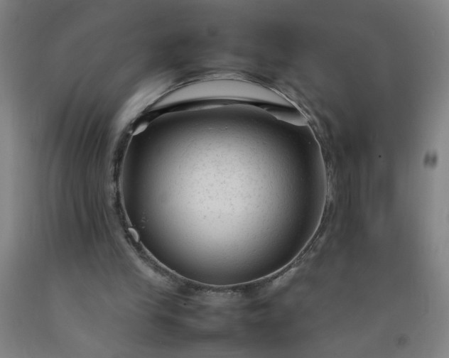 X0000092210245200709281029