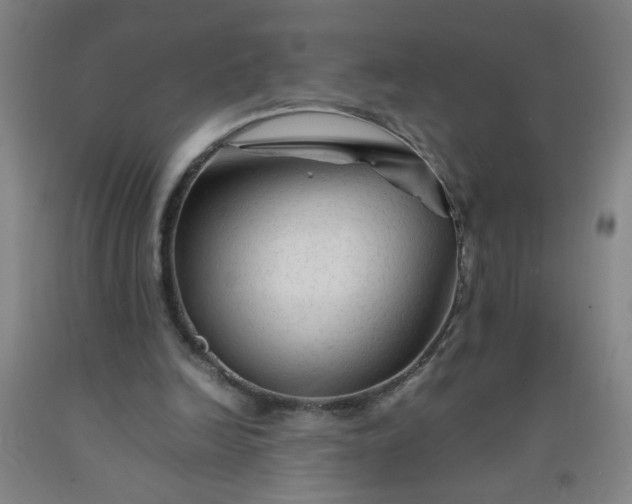 X0000092210246200709281029