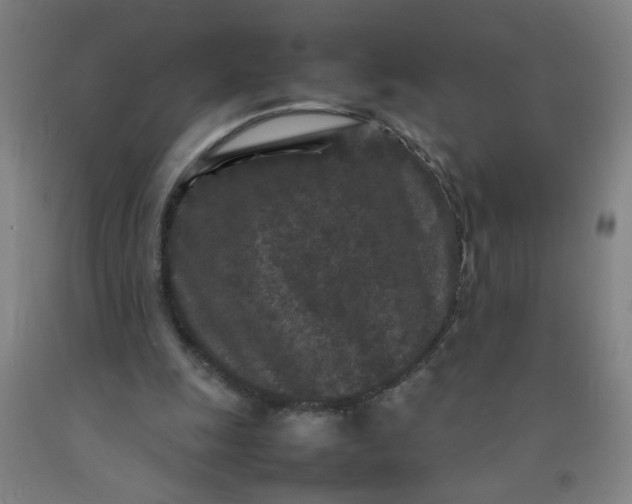 X0000092210247200709281029