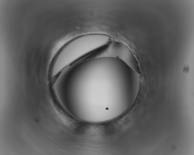 X0000092210248200709281029