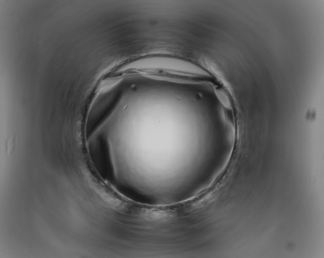 X0000092210249200709281029