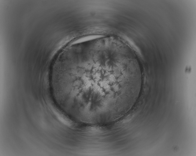 X0000092210250200709281029