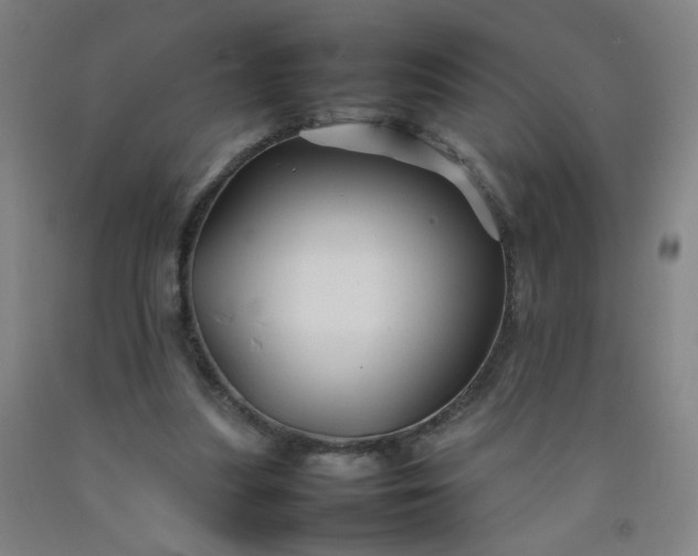 X0000092210251200709281029