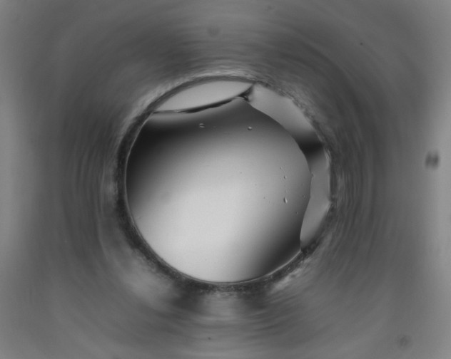 X0000092210252200709281029