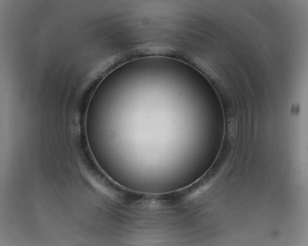 X0000092210254200709281029