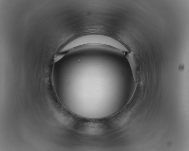 X0000092210255200709281029