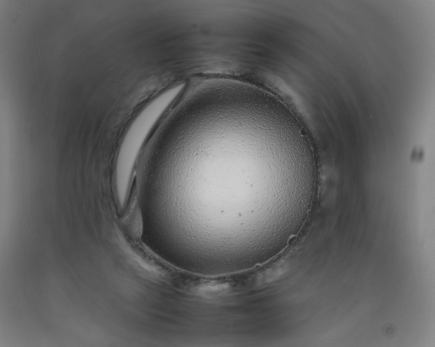 X0000092210257200709281029