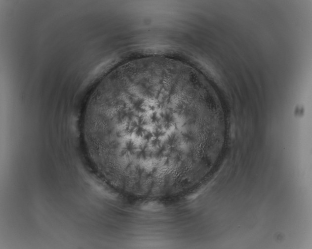 X0000092210258200709281029