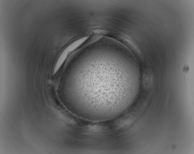 X0000092210259200709281029