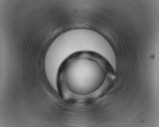 X0000092210260200709281029