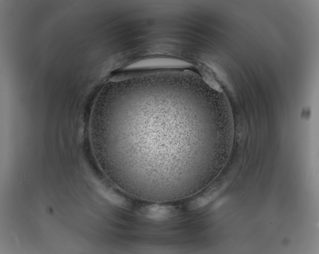 X0000092210261200709281029