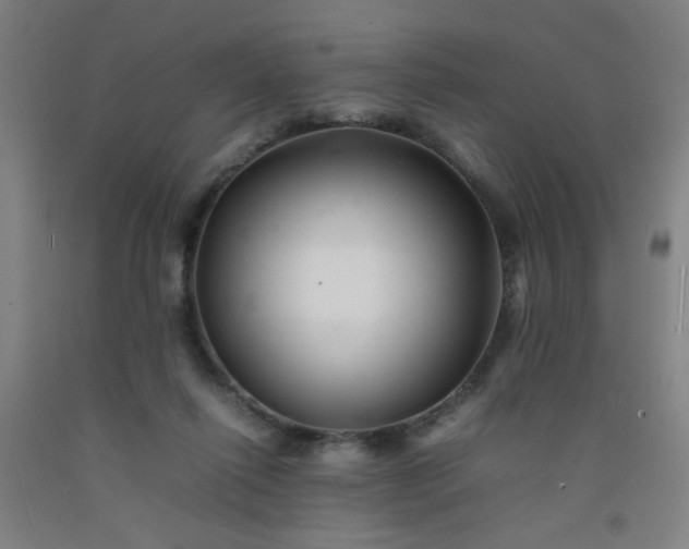 X0000092210262200709281029