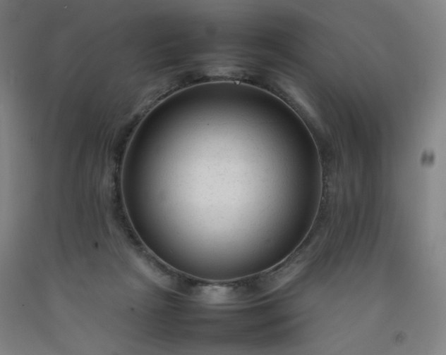 X0000092210265200709281029