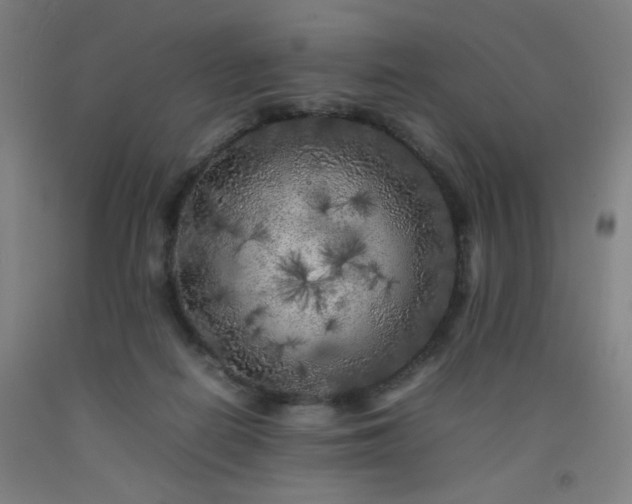 X0000092210266200709281029