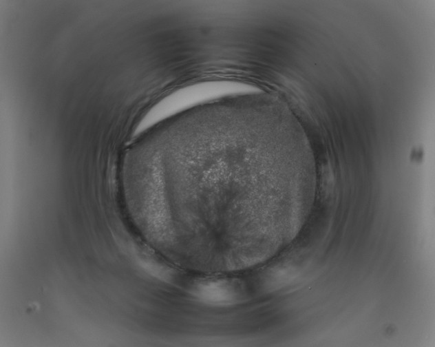 X0000092210267200709281029