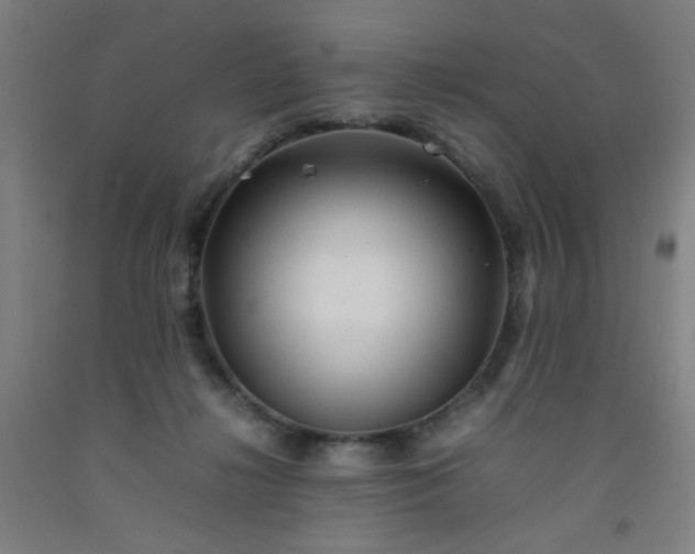 X0000092210268200709281029