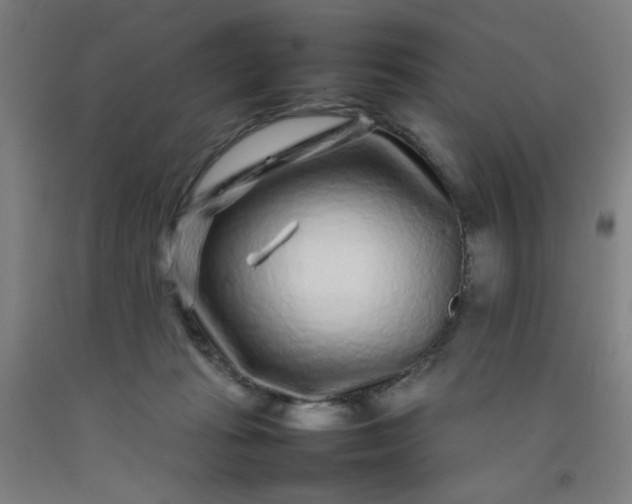 X0000092210269200709281029