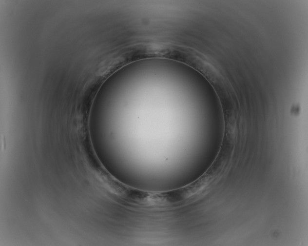 X0000092210270200709281029