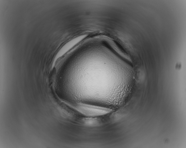 X0000092210273200709281029