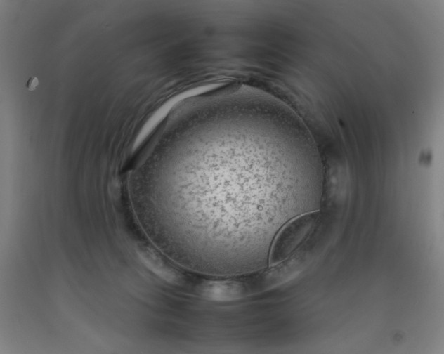 X0000092210275200709281029