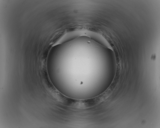 X0000092210276200709281029