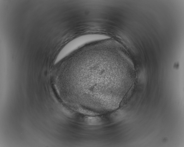 X0000092210277200709281029