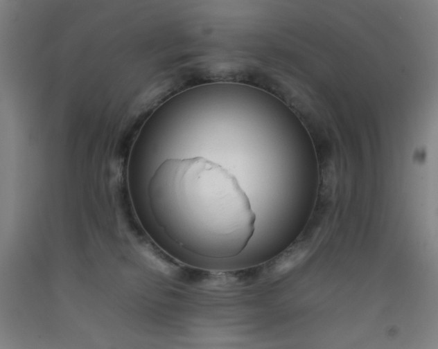 X0000092210278200709281029