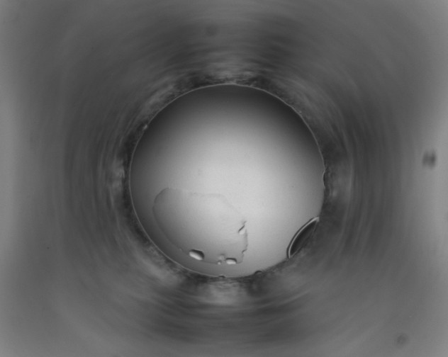 X0000092210279200709281029