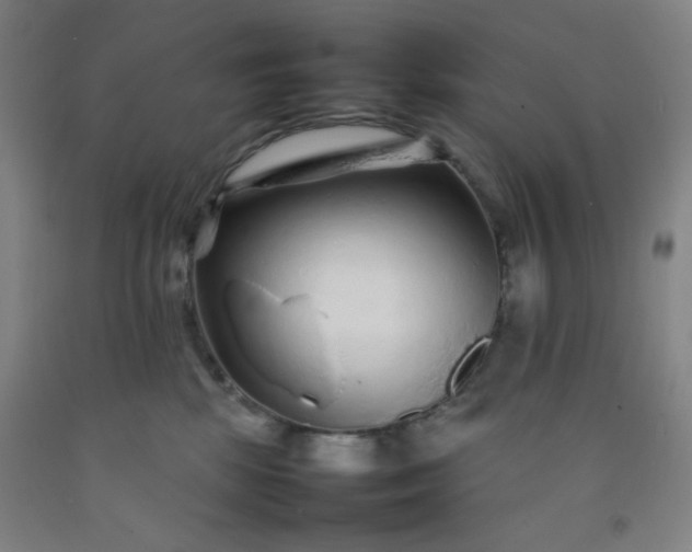 X0000092210281200709281029