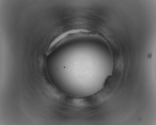 X0000092210283200709281029