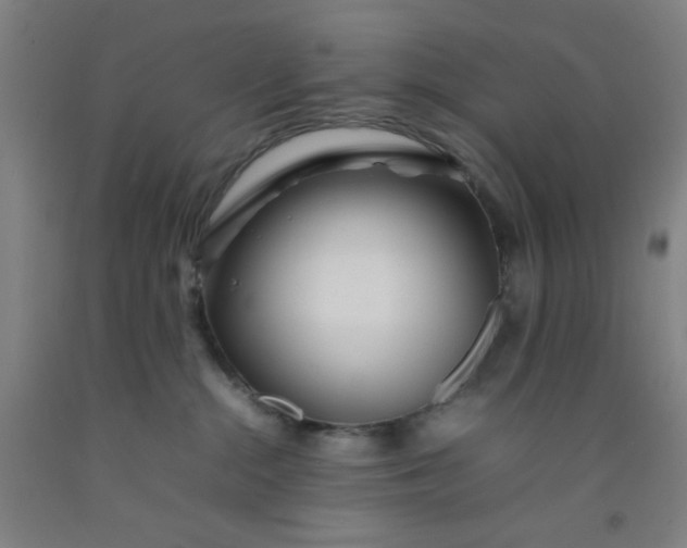 X0000092210284200709281029