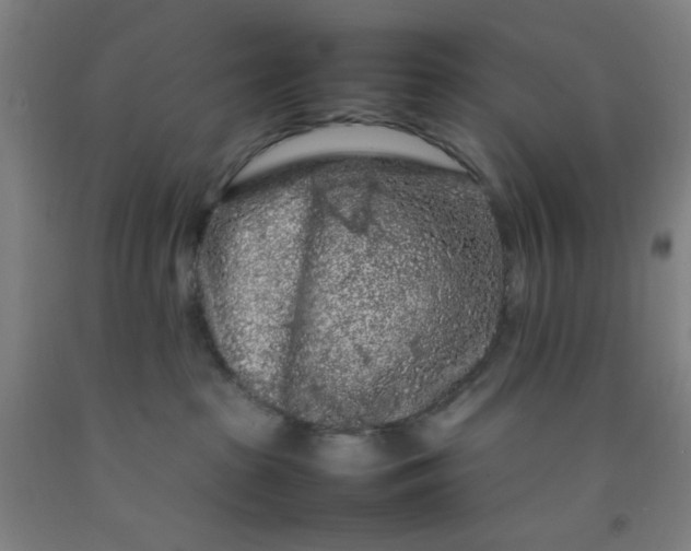 X0000092210285200709281029