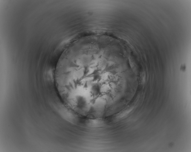 X0000092210286200709281029